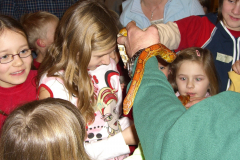 2006 Spinne, Schlangen Skorpione - 22.1.2006